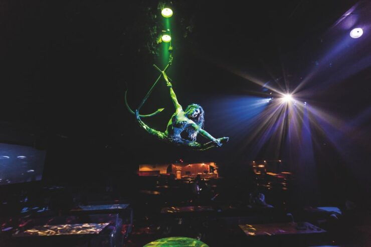 Magaluf: Pirates Adventure Dinner Show Ticket - Ticket Details
