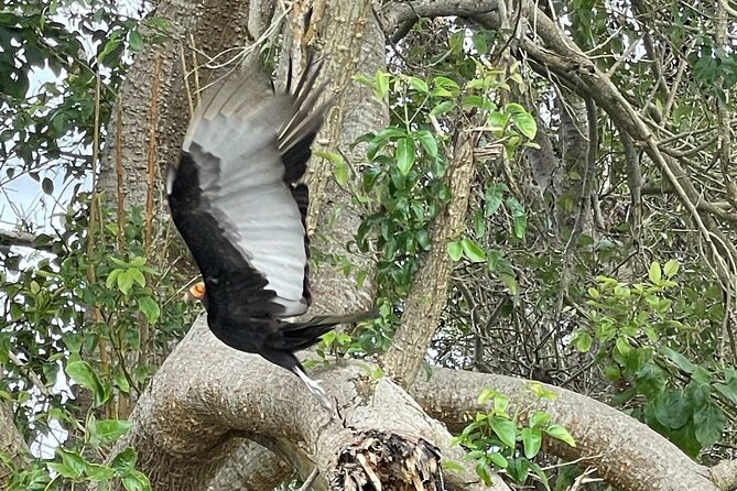 Magdalena River Safari - 6 Hours - Pickup Point and Details