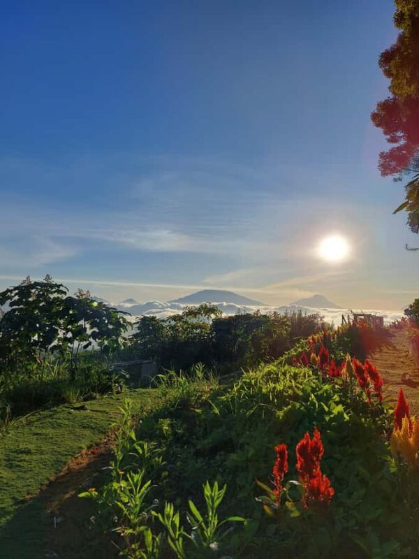 Magelang: Silancur Highland Sunrise & Sukomakmur Tour - Exploring the Silancur Highland Sunrise