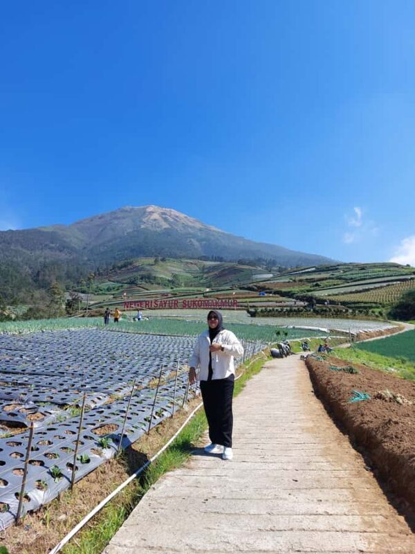 Magelang: Silancur Highland Sunrise & Sukomakmur Tour - What You Can Expect During the Day