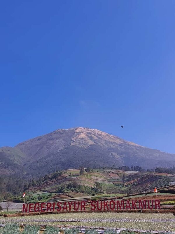 Magelang: Silancur Highland Sunrise & Sukomakmur Tour - Who Should Book This Tour?