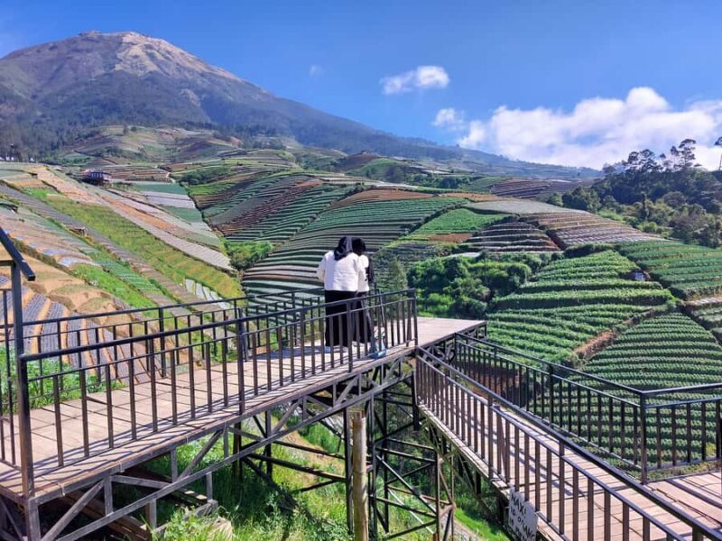 Magelang: Silancur Highland Sunrise & Sukomakmur Tour - The Sum Up