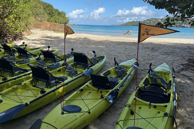 Magens Bay Nature Walk & premium hands-free Hobie Kayak Adventure - Exploring Magens Bay: A Perfect Balance of Nature and History