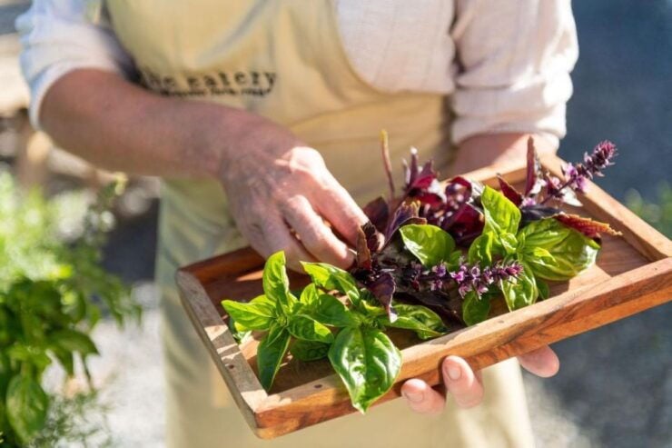 Maggie Beer's Farm Hands-on Cooking School and Lunch - Booking Information