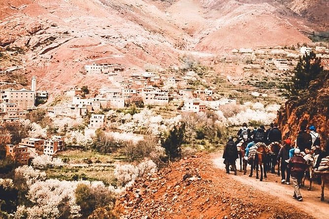 Magic Atlas Mountains Day Trip From Marrakech - Hiking Opportunities in the Atlas Mountains
