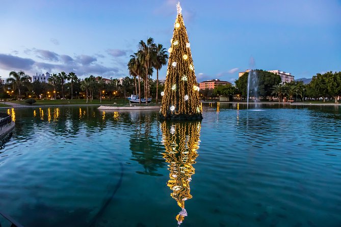 Magic Christmas Tour in Malaga - Tour Highlights