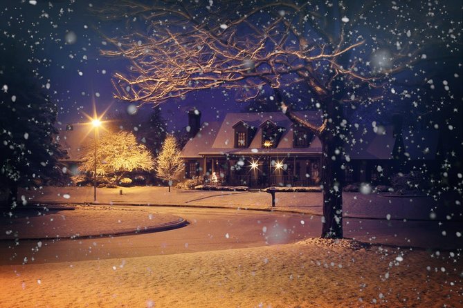 Magic Christmas Tour in Uppsala - Tour Highlights