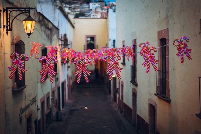 Magic Christmas Tour in Zacatecas - Inclusions