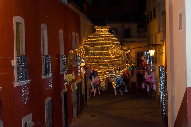 Magic Christmas Tour in Zacatecas - Reviews