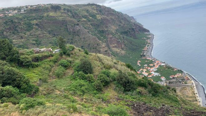 Magic Fanal Forest and Porto Moniz Lava Pool – West Side - Explore the Wild North