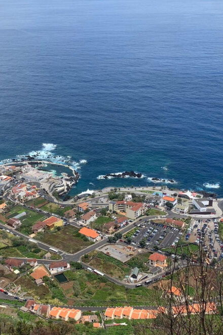 Magic Fanal Forest and Porto Moniz Lava Pool – West Side - Swim in Crystal Waters
