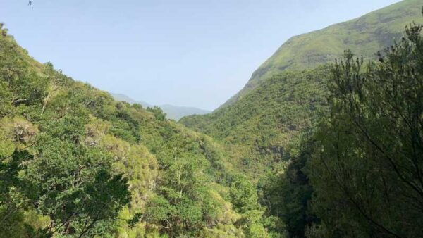 Magic Fanal Forest and Porto Moniz Lava Pool – West Side - Frequently Asked Questions