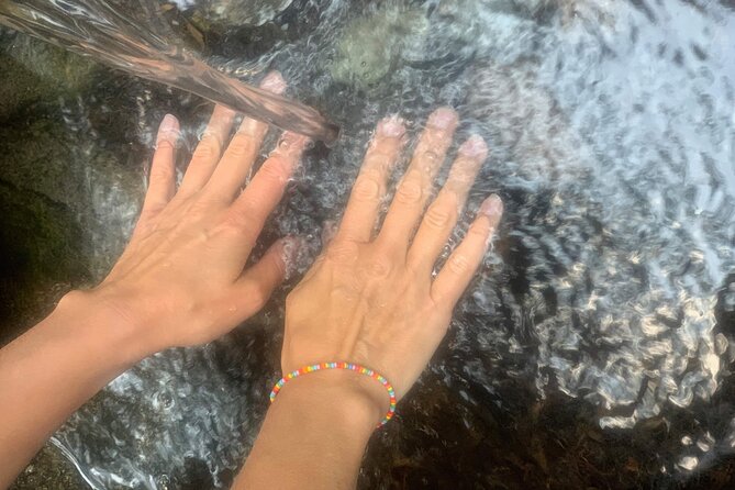 Magic Forest and Healing Spring Water in Stockholm - Tips for Exploring the Enchanting Forest