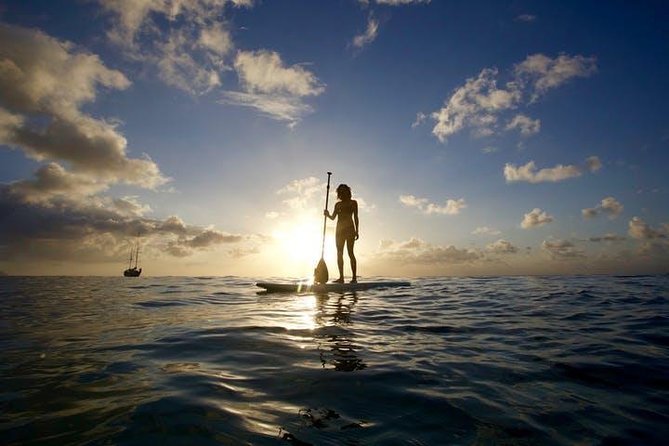 Magic Island Honolulu Stand Up Paddling - Overview and Details