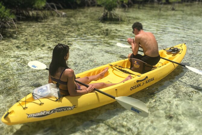 Magic Mangrove Paddle in Beef Island Lagoon - Expertise of the Tour Guide