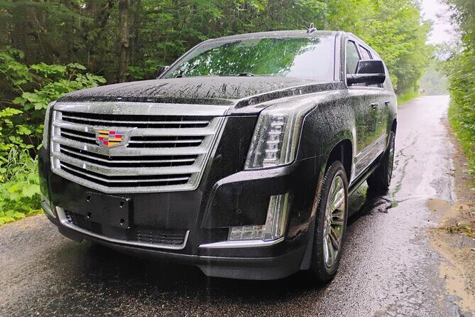 Magic Mike NON BUS Traverse City Old Mission Peninsula Wine Tour - A Review of the Magic Mike NON BUS Traverse City Old Mission Peninsula Wine Tour  