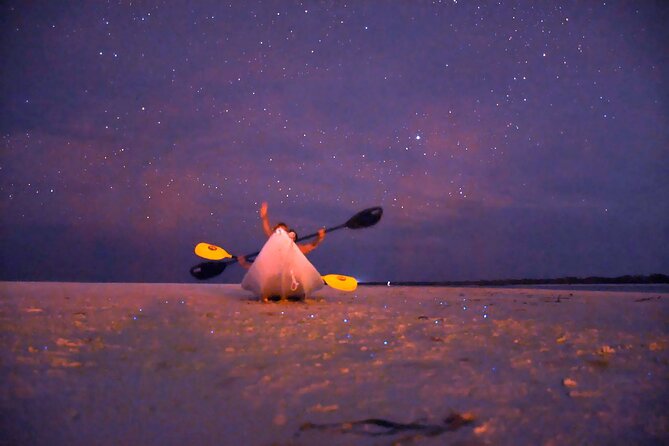 Magic Night of Stargazing and Bioluminescence - Overall Rating and Review Count