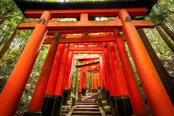 Magic of Japan by Expeditions Gateways - 5-Day Tour from Tokyo - A compact Tokyo introduction, with a long list of stops