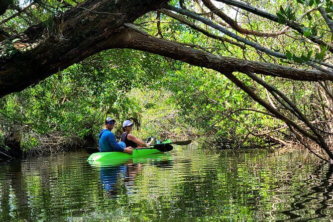 Magic of Nature Guided Kayak Eco Tour - FAQ