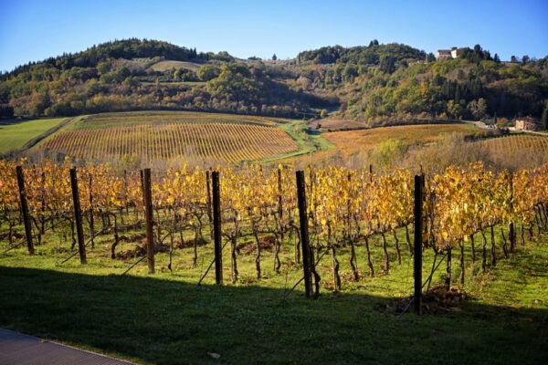 Magic Tuscany Tour - Scenic Stops