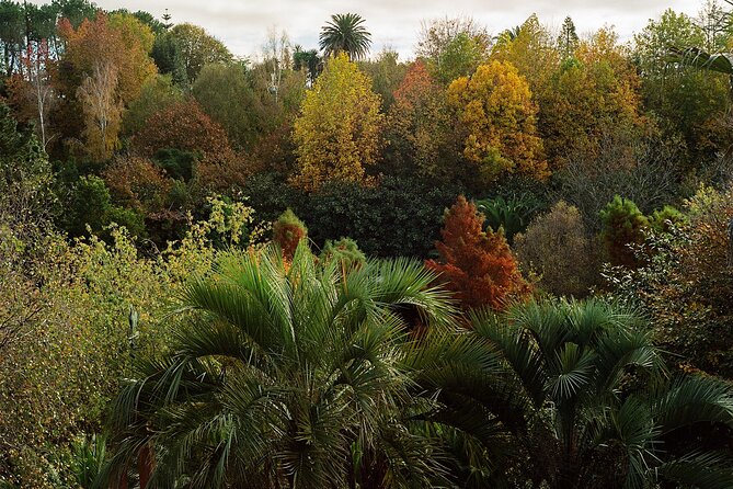 Magical and Exclusive Private Visit to the Fonte Baxa Garden, Luarca - Inclusions and Experience