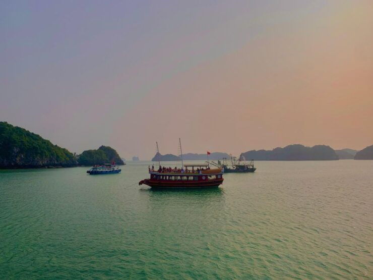 Magical Bioluminescence Plankton Tour - Tour Highlights