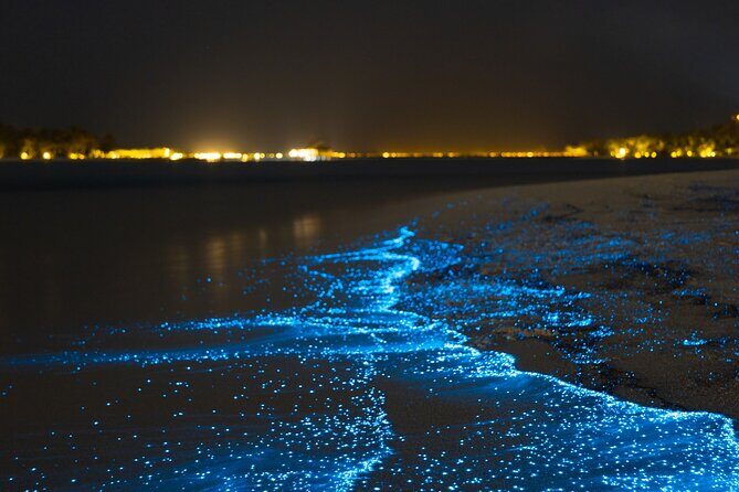 Magical Bioluminescent Night Dive - Good To Know