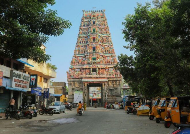 Magical Chennai Markets Tour (2 Hours Guided Walking Tour) - Language Options