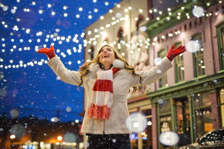 Magical Christmas Tour Around Vienna - Traditional Austrian Christmas Markets