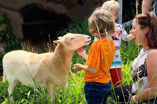 Magical Creatures Sanctuary Private Tour - Overview and Tour Details