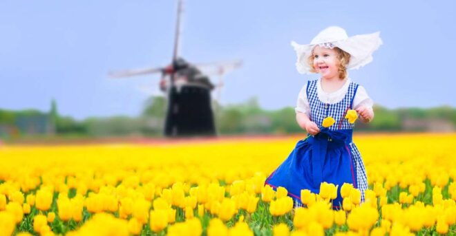 Magical Delft and the Keukenhof Estate: Tulips Galore - The Delights of Dutch Countryside
