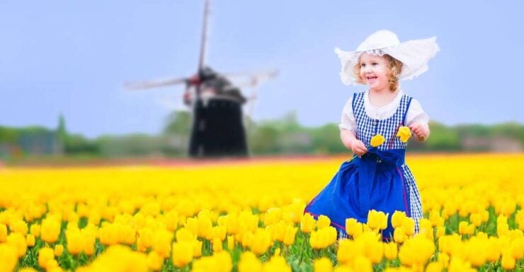 Magical Delft and the Keukenhof Estate: Tulips Galore - Tulip Mania: Unraveling the History of Tulip Growing