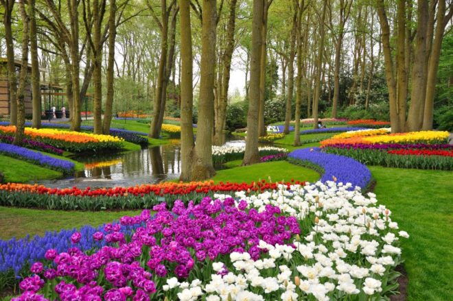 Magical Delft and the Keukenhof Estate: Tulips Galore - A Multilingual Tour: Experiencing the Magic in Your Preferred Language