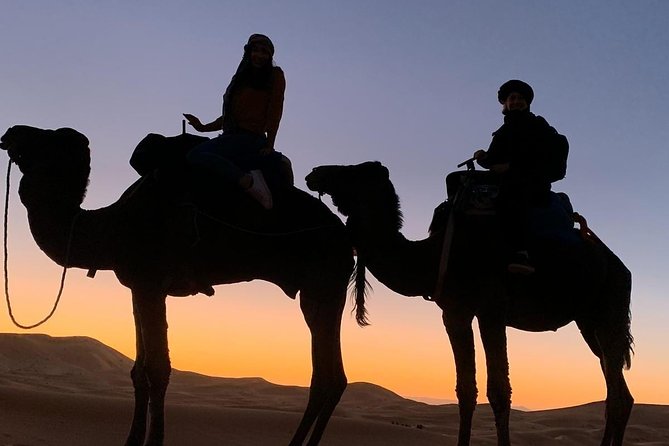 Magical Dinner in Agafay Desert Sunset With Camel Ride - Pricing and Booking