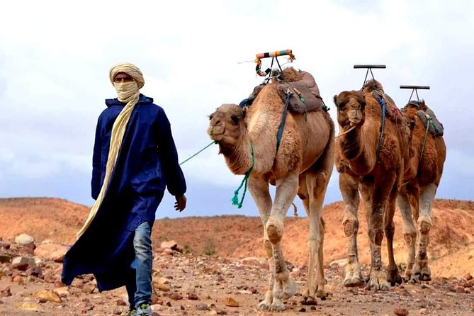 Magical Dinner on Sunset in Agafay Desert and Camel Ride - Experience Overview