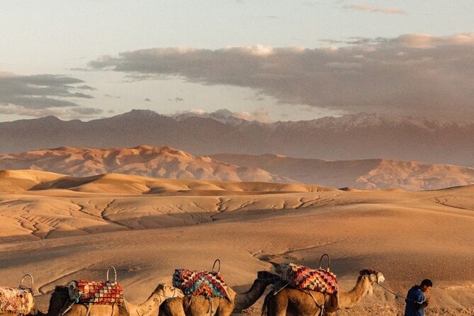 Magical Dinner With Camel Ride at Sunset in Agafay Desert - Customer Support and Contact Information