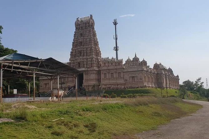 Magical Fireflies Tour - Background Information