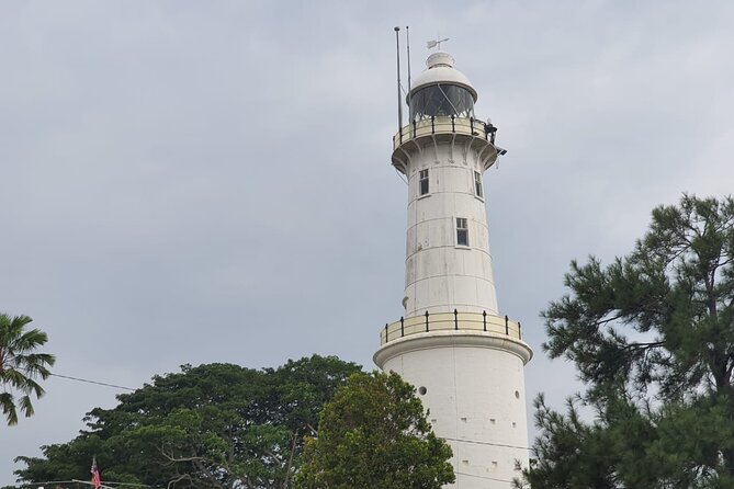 Magical Fireflies Tour - Tips and Recommendations