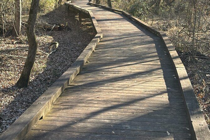 Magical Golf Cart Tour Through Peachtree City Trails - Practical Details and Value