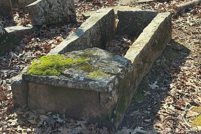 Magical Golf Cart Tour Through Peachtree City Trails - Who Will Love This Tour?