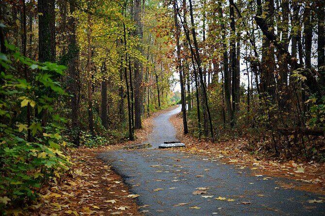 Magical Golf Cart Tour Through Peachtree City Trails - FAQ