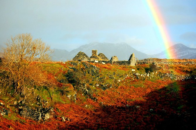 Magical Inishbofin Island on the Connemara Coast From Galway Including Lunch - Exploring Inishbofin Islands Scenery