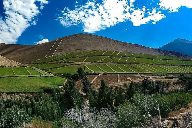 Magical Journey Through the Elqui Valley Highlands - Inclusions and Additional Info