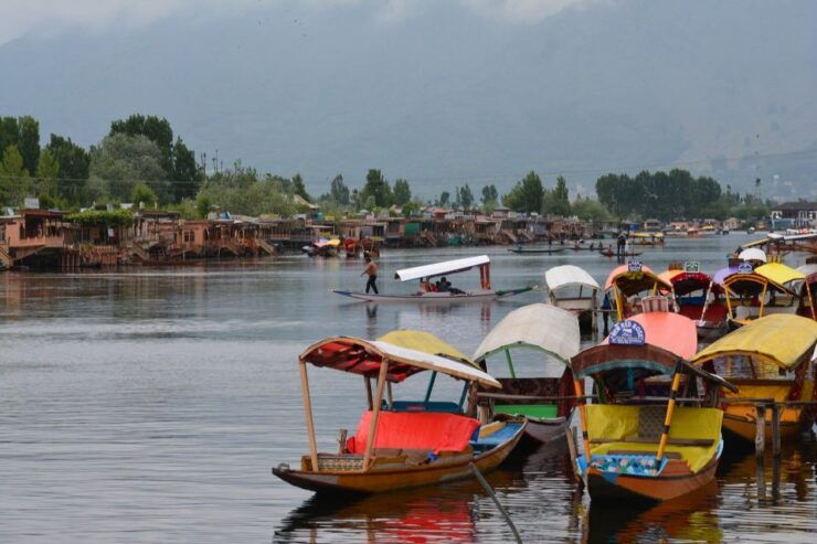 Magical Kashmir Tour - Tour Details and Logistics