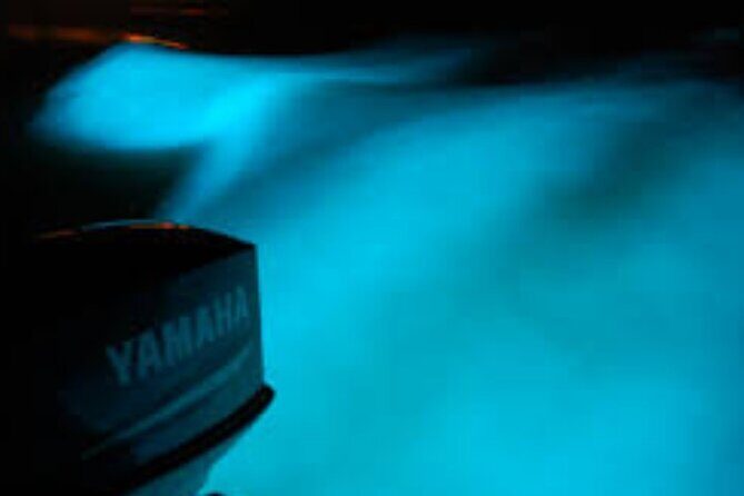 Magical Luminous Lagoon Private Tour - Final Thoughts: Is It Worth It?