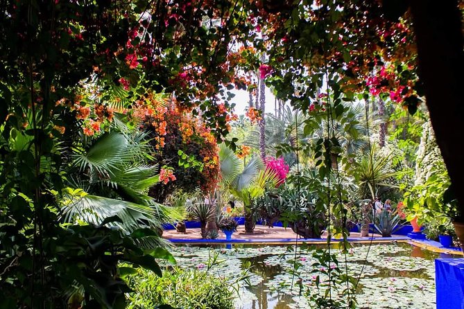 Magical Marrakesh 1 Day Trip From Agadir - Overview of Marrakech