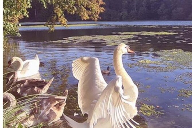 Magical Moment Château De La Reine Blanche Show & Beer - Booking and Cancellation Policy