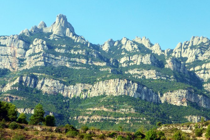 Magical Montserrat With a Private Guide: Family Friendly Trip - Questions and Help Center