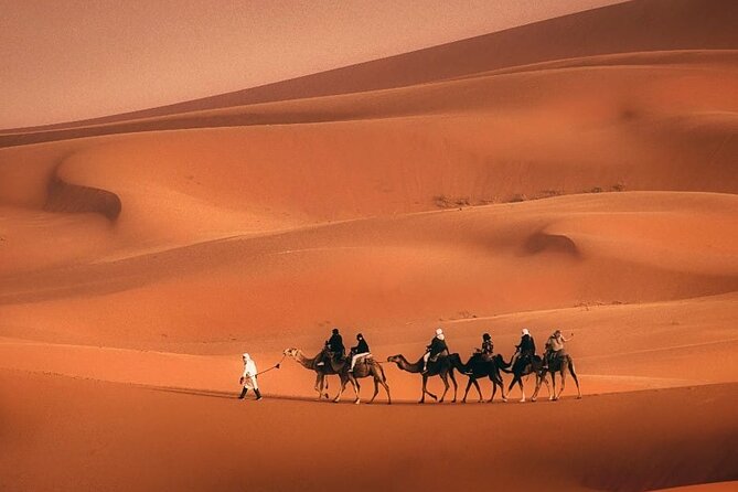 Magical Morocco 8 Days (190 per Day ) - Accommodation and Transportation