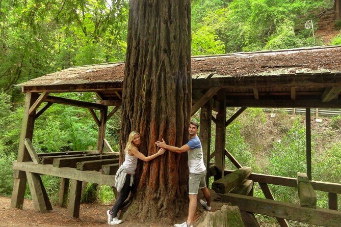 Magical Muir Woods Car Tour (Private & All-Inclusive) - A Practical Look at the Tour Experience